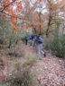 chemin de la falaise